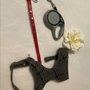 Puppy Red Heart Collar, Grey Harness, & Leach